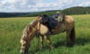 PURE DELIGHT - Hingucker mit Potential