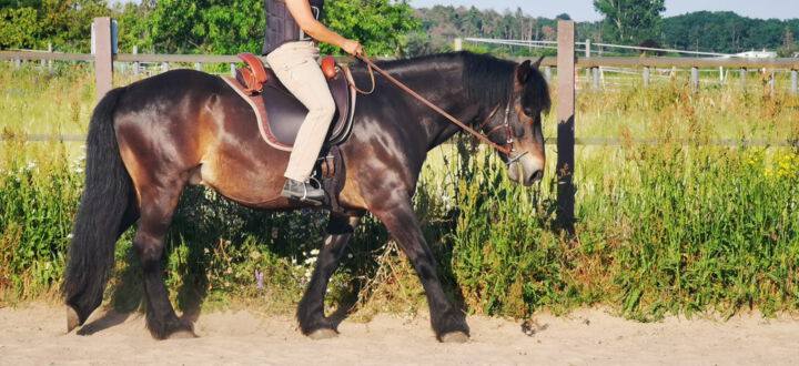 PURE DELIGHT - Hingucker mit Potential
